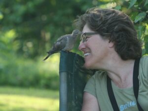 Julie Zickefoose sitting on a chair face-to-face with a Mourning Dove