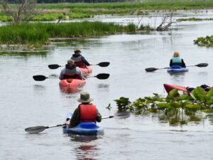 Kayakers on Mentor Marsh at Mentor Lagoons