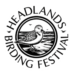 HBF 3 inch Sticker