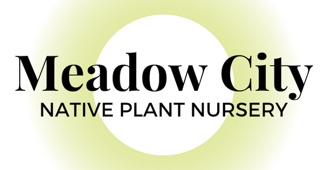 Meadow City Native Plant Nursery