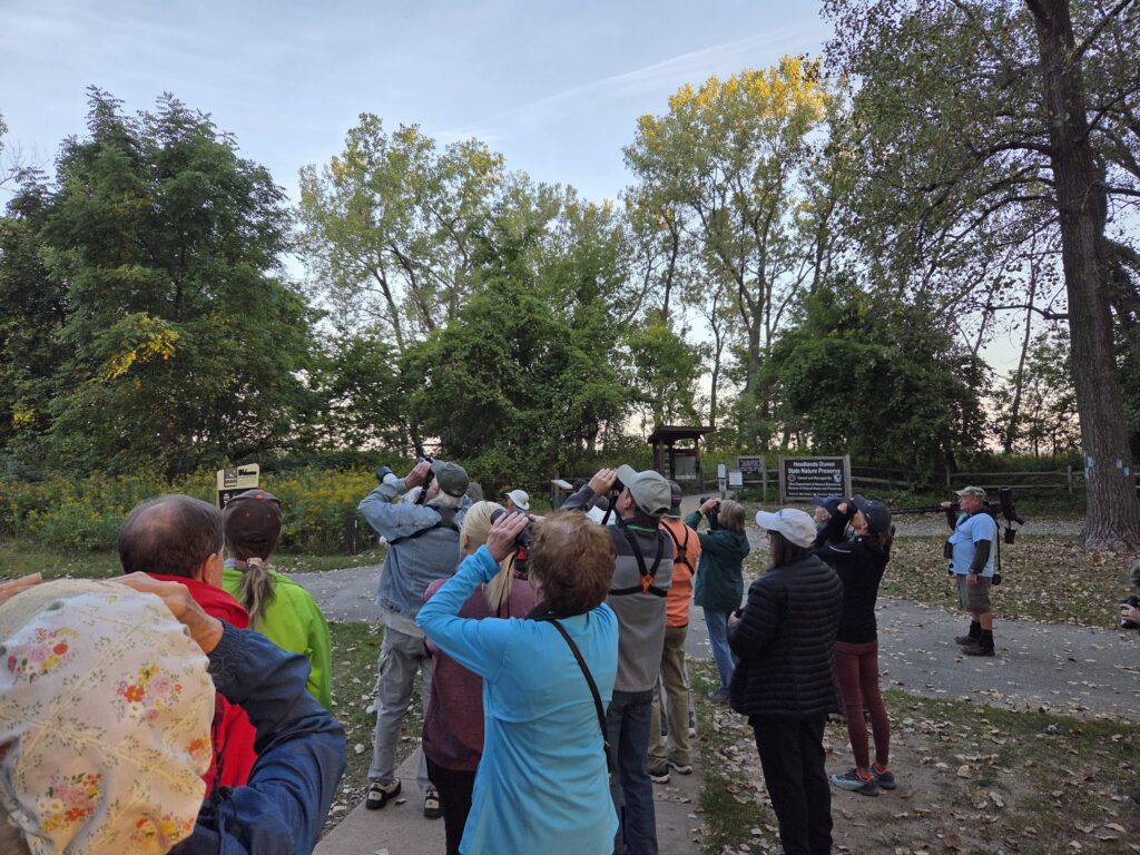 Headlands Beach Walk 1