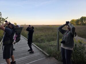 Headlands Beach Walk 1