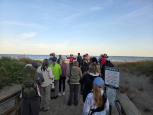 Headlands Beach Walk 1