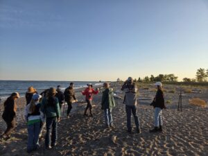 Headlands Beach Walk 1