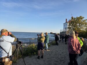 Headlands Beach Walk 1