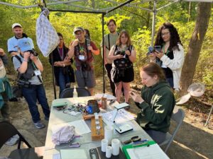 Bird banding Demonstration