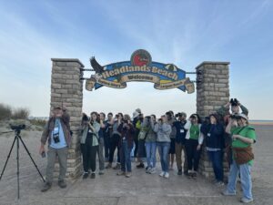 Headlands Birding Walk 2