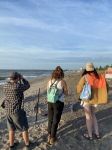 Headlands Evening Bird Walk