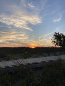 Headlands Boardwalk