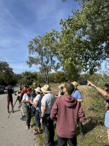 Headlands Beginner Bird Walk 1