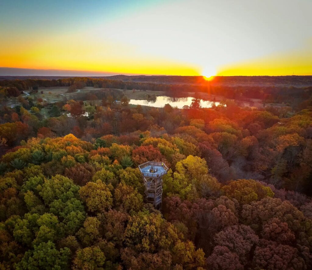 View of Holden Emergent Tower at sunset