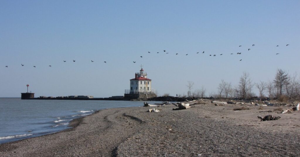 Cormorants flying over Headlands Lighthouse from Headlands Dunes State Nature Preserve