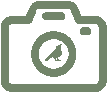 camera icon-dark