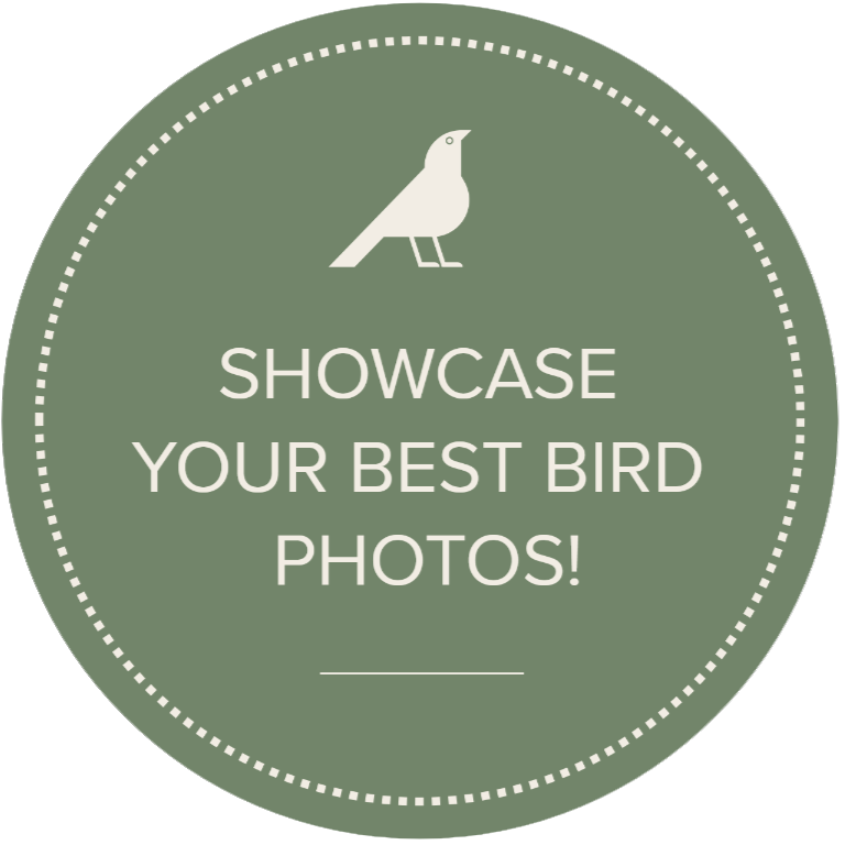 contest sticker
