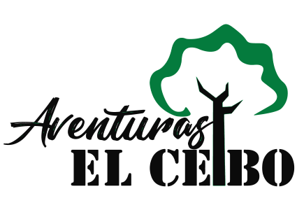 Aventuras El Ceibo Costa Rica Bird Tours