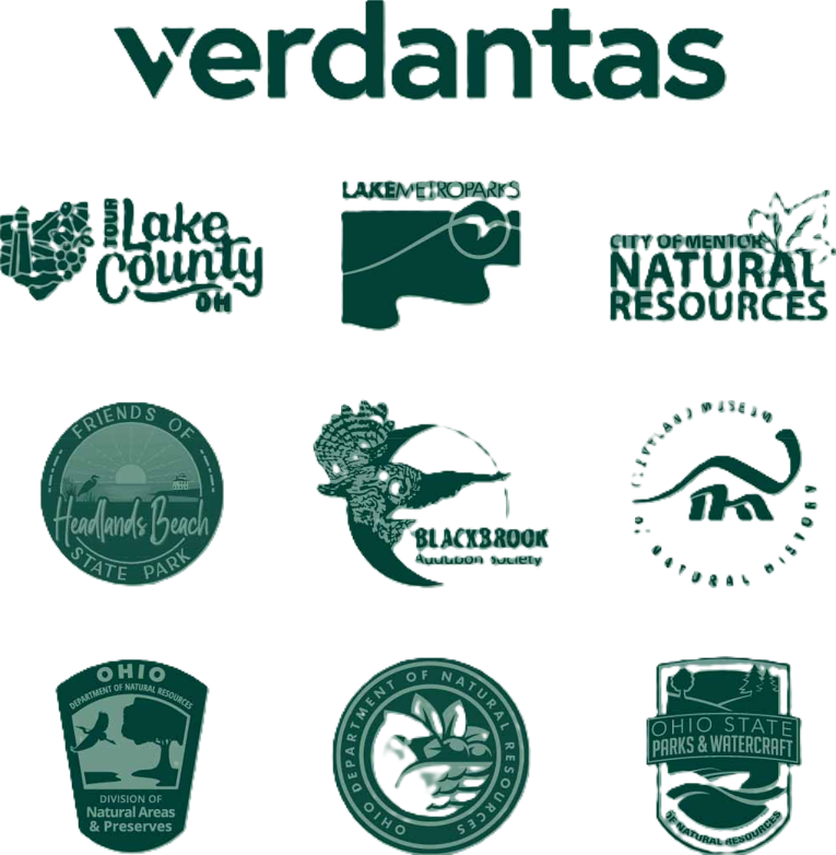 Headlands Birding Festival T-shirt (2026) - Image 5