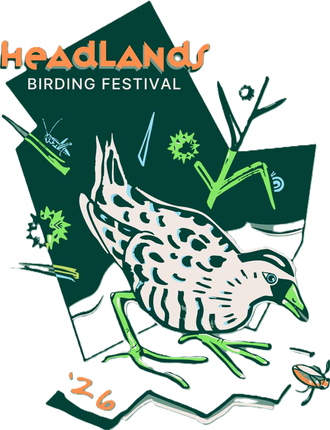 Headlands Birding Festival T-shirt (2026) - Image 4