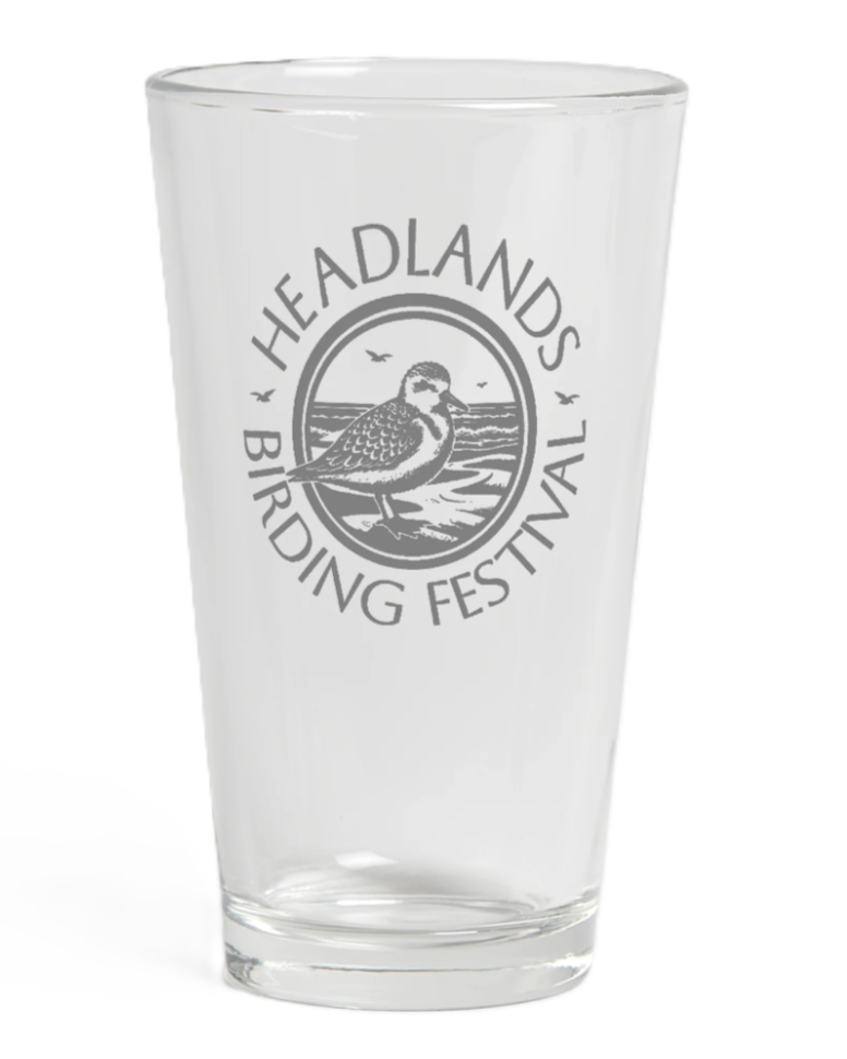 HBF etched pint glass